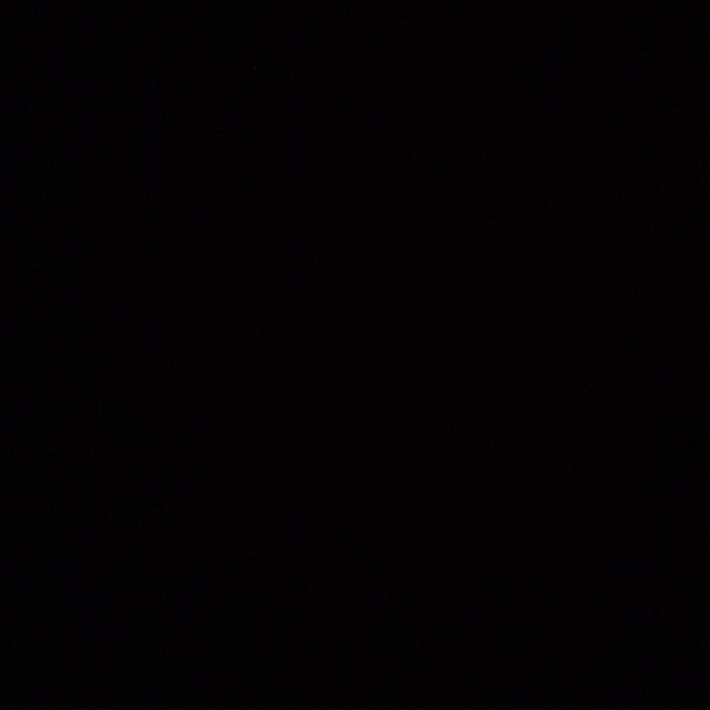 Meet your Posher, Luna